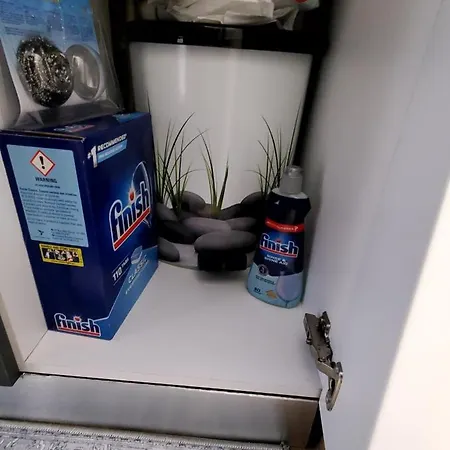 Roni Apartament